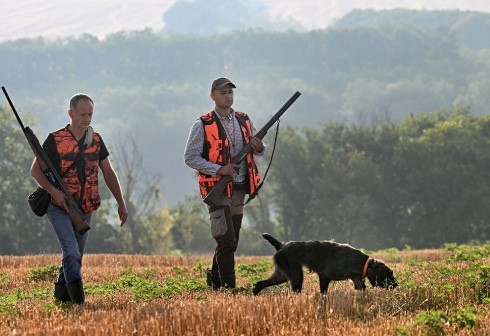 От 9 август започва ловът на пъдпъдъци гургулици гривяк горски