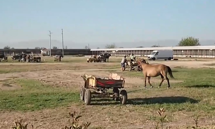 Извънредна проверка извършват служители на МВР и инспектори от Българската