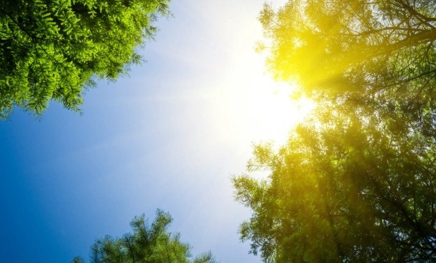 Днес над България ще бъде слънчево Ще духа слаб в