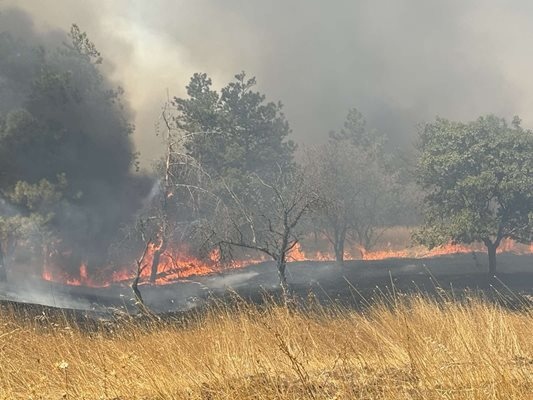 Цяла нощ екипи на пожарната гасиха отделни огнища в град