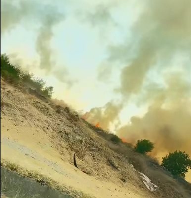 Пожар гори в близост до Аквапарка в Несебър съобщиха за