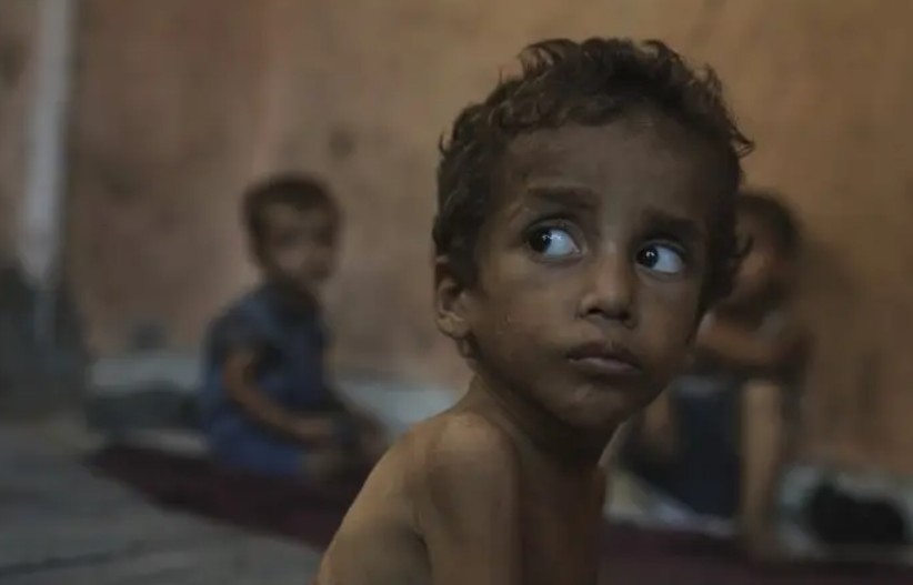 Организация към ООН официално потвърди че голяма част от Ивицата