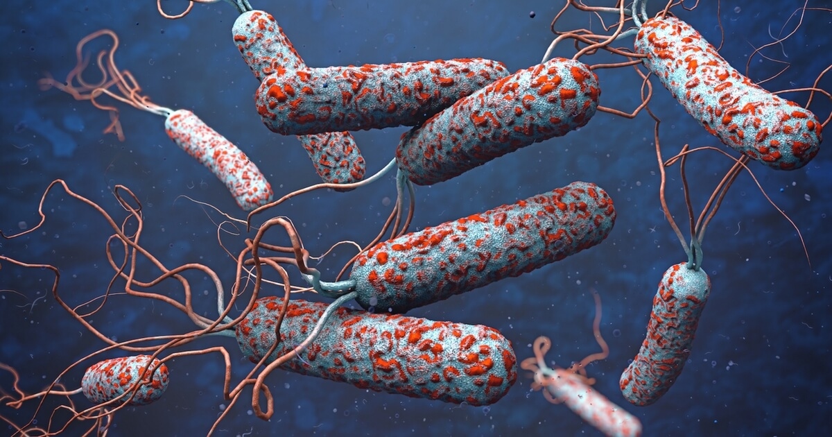 Епидемия от холера е причинила смъртта на близо 70 души