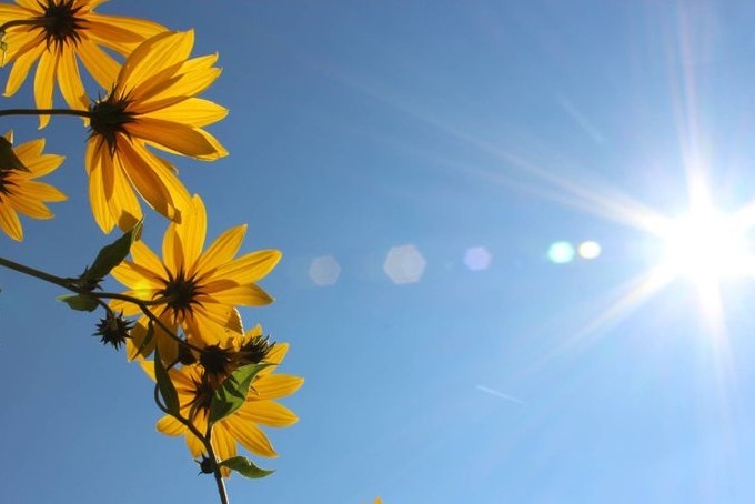 Днес ще бъде слънчево Ще духа слаб в Дунавската равнина