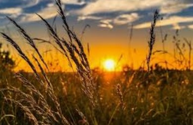 Отиващият си месец е най малко топлият август за последните 5