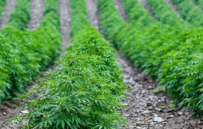 Европейската комисия представи на 21 август предложение за признаване на