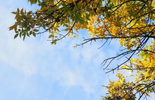 Днес ще бъде предимно слънчево с разкъсана облачност по значителна над