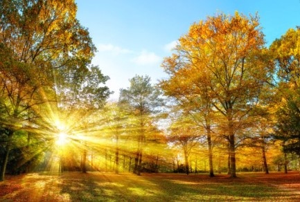 Днес ще преобладава слънчево време с временни увеличения на облачността