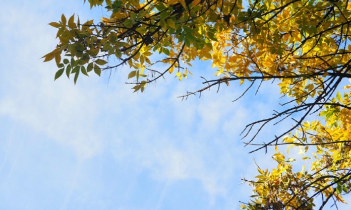 Днес ще преобладава слънчево време с разкъсана средна и висока