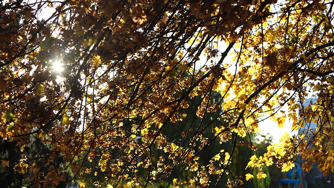 В по голямата част от страната ще остане горещо с максимални