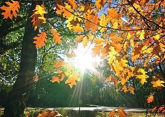 Днес над западната половина от страната ще е предимно слънчево