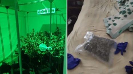 Синът на изявен прокурор е заловен с притежание на около