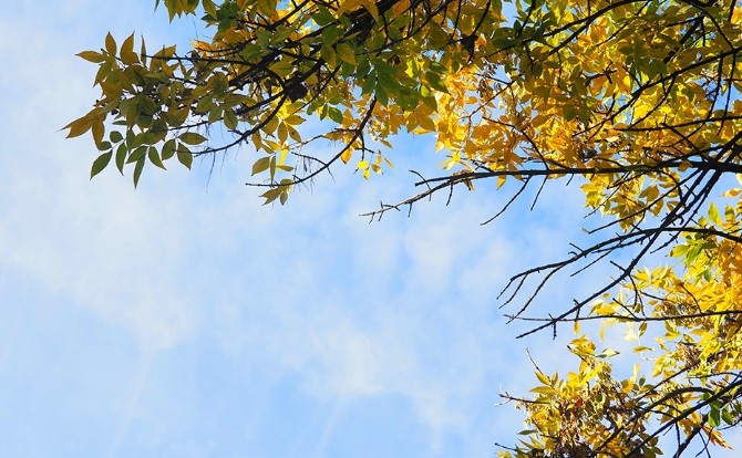 Днес ще бъде слънчево Ще духа слаб вятър от изток североизток