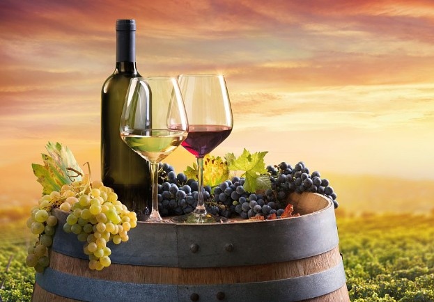 Отлична реколта от грозде отчитат производителите в Югозападна България Въпреки