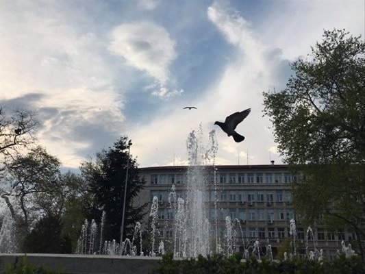 Районната прокуратура във Варна ще внесе в съда искане за