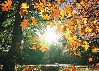 Днес ще бъде предимно слънчево но ще е ветровито Ще