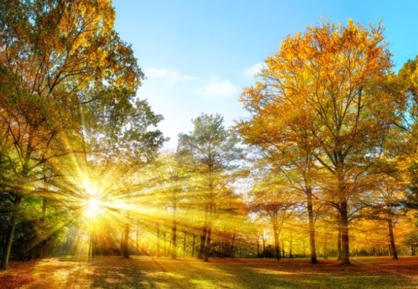 Днес ще бъде слънчево Ще духа слаб до умерен вятър