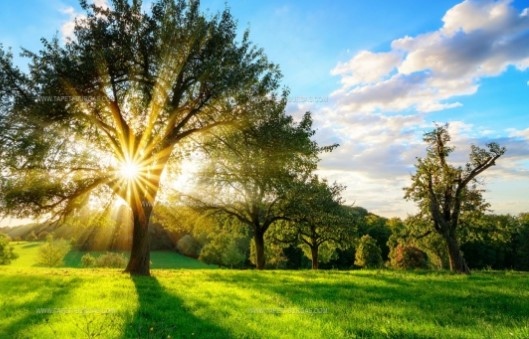 Днес ще бъде слънчево В сутрешните часове на отделни места