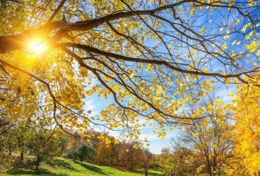 Днес ще бъде предимно слънчево Преди обяд над източните райони