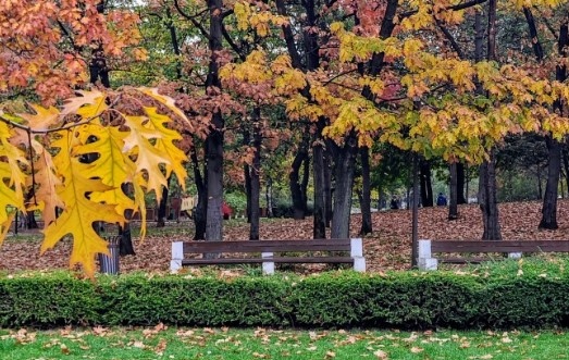 Днес над страната ще преобладава облачно време и на отделни
