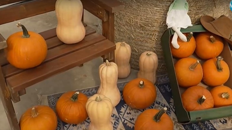 Бутиковите тикви превземат българския пазар Новият сорт се появява за