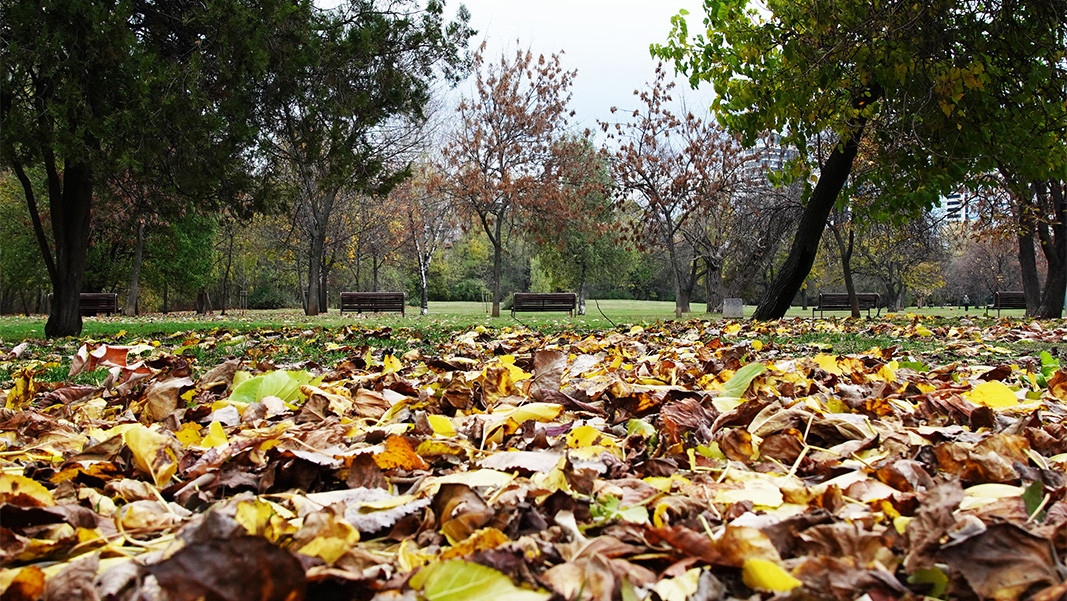 Облачността ще се задържи предимно значителна предаде БНТ На отделни
