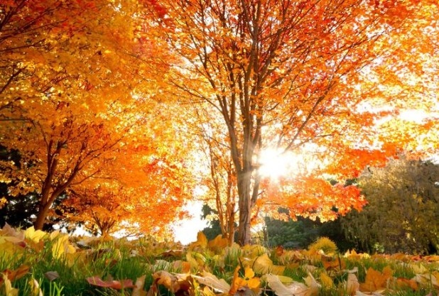 Днес над Северна България преди обяд ще има значителна ниска