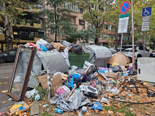 От Столичното предприятие за третиране на отпадъци са сигурни че