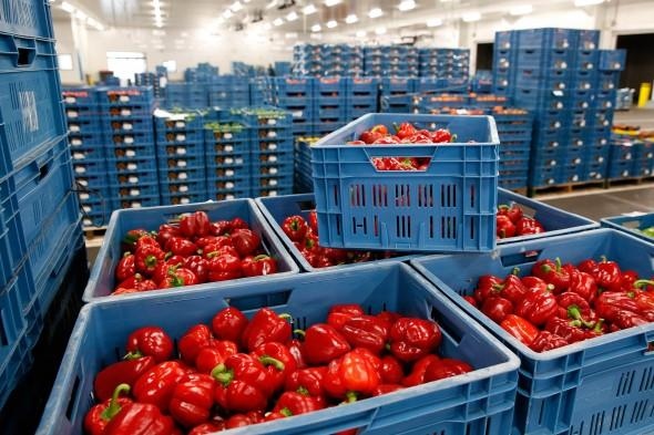 БНТ информира че има проблеми с реализацията на пазарите в