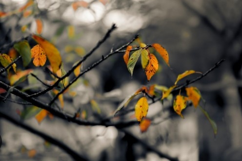 Днес бъде предимно облачно и на много места ще има