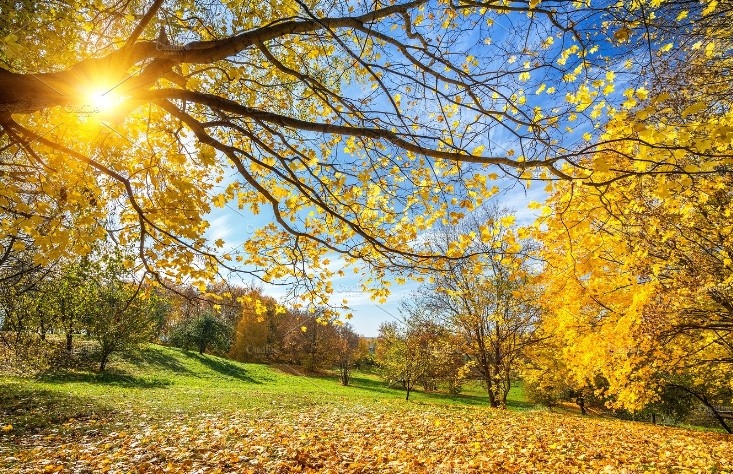 Днес над по голямата част от страната ще бъде слънчево Преди