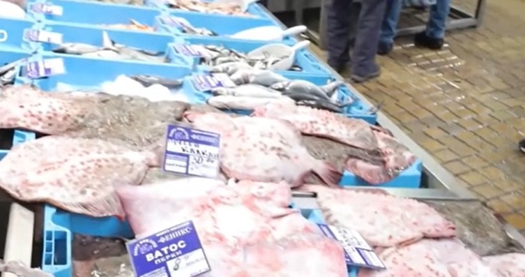 Туристическият сезон приключи но периодът за улов на риба тепърва