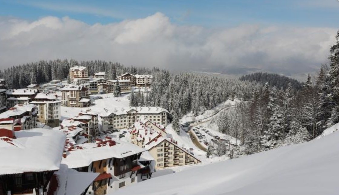 Малко увеличение на цените в сравнение с миналата година очакват