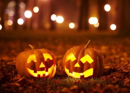 Кметът на Община Елин Пелин издаде заповед с която забрани