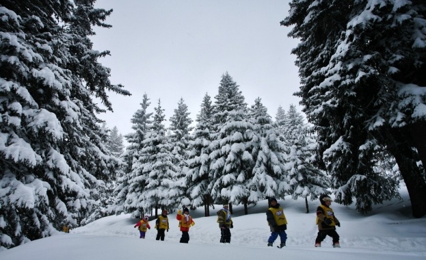 Прогнозата за времето е изключително важна преди да решим да