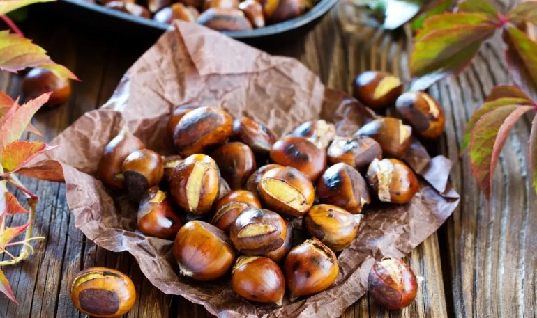 Кестените – един от символите на есента – от векове се