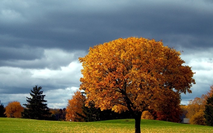 Днес преди обяд облачността ще е значителна а на места