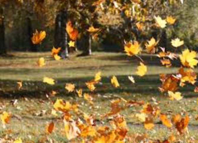 След обяд преваляванията навсякъде ще спрат облачността ще намалява но