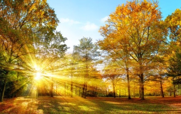 Днес ще бъде предимно слънчево Преди обяд на отделни места