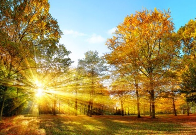 Днес ще преобладава слънчево време Ще има временни увеличения на