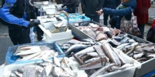 Изпълнителната агенция по рибарство и аквакултури ще проведе засилени проверки