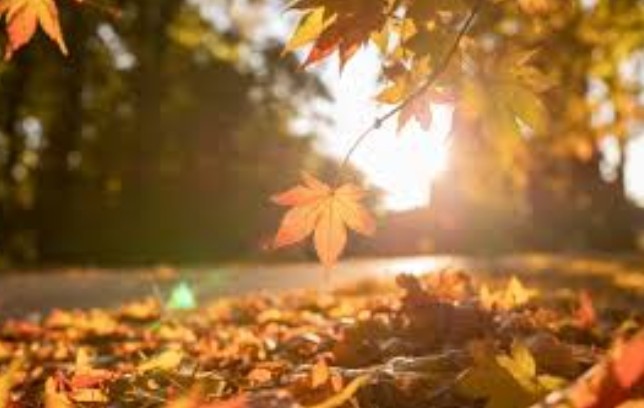 Днес над страната ще има значителна висока облачност На много