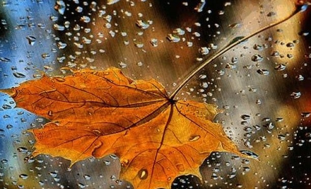 Днес ще бъде облачно Дъжд ще вали главно в Северна