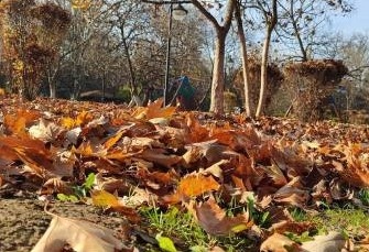 Днес ще преобладава облачно време а в Дунавската равнина и