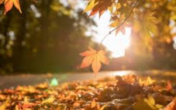 Днес облачността и на изток ще се увеличи ще е