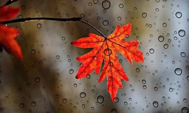 Днес ще бъде облачно в по голямата част от страната с