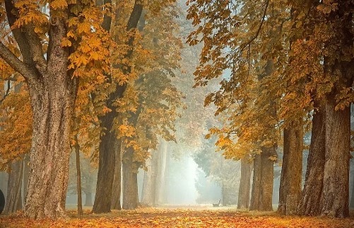 Днес облачността над западната половина от страната и Североизточна България