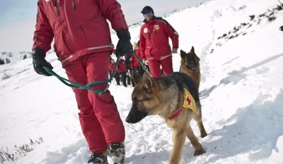 Планинската спасителна служба към БЧК е в готовност за предстоящия