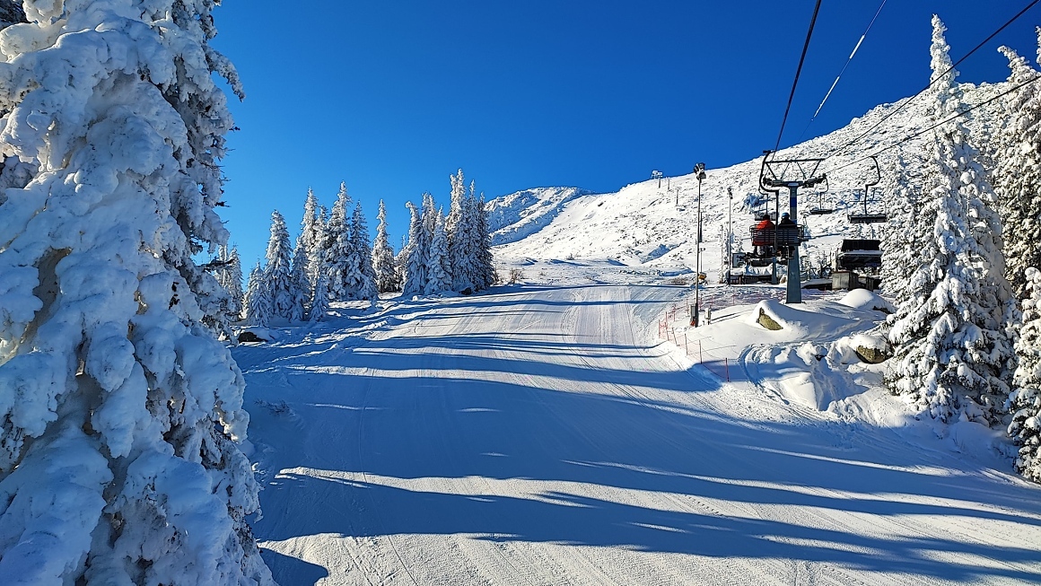 Само 122 от 27 100 хектара колкото е територията на