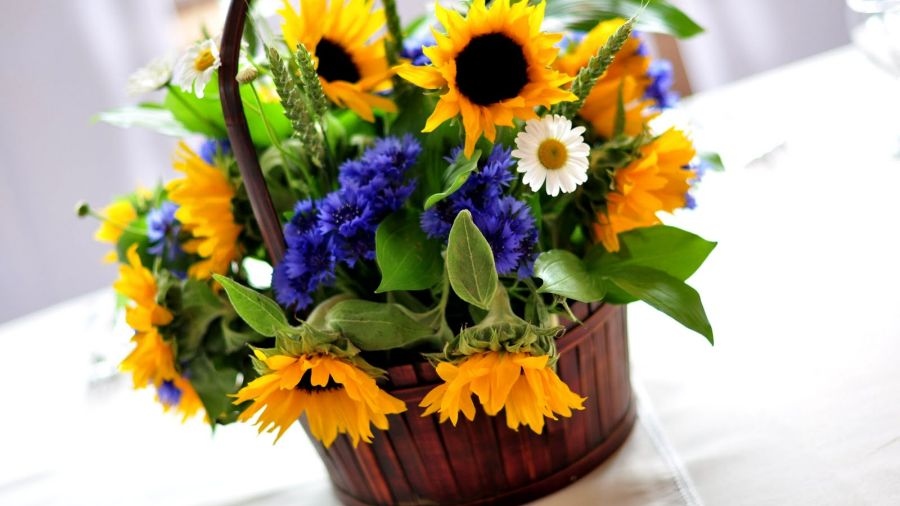 Днес почитаме св мчци Мина Ермоген и Евграф Мъченикът Мина